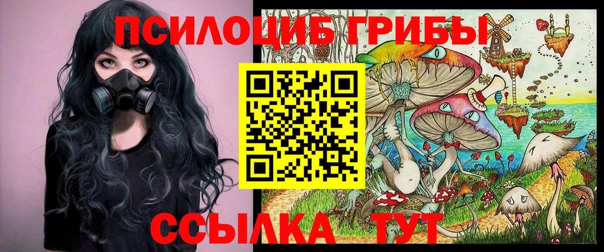 Тавда  Галлюциногенные грибы мухоморы  Псилоцибиновые грибы прущие грибы  Вход с VPN 